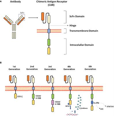 Childhood leukemias in Mexico: towards implementing CAR-T cell therapy programs